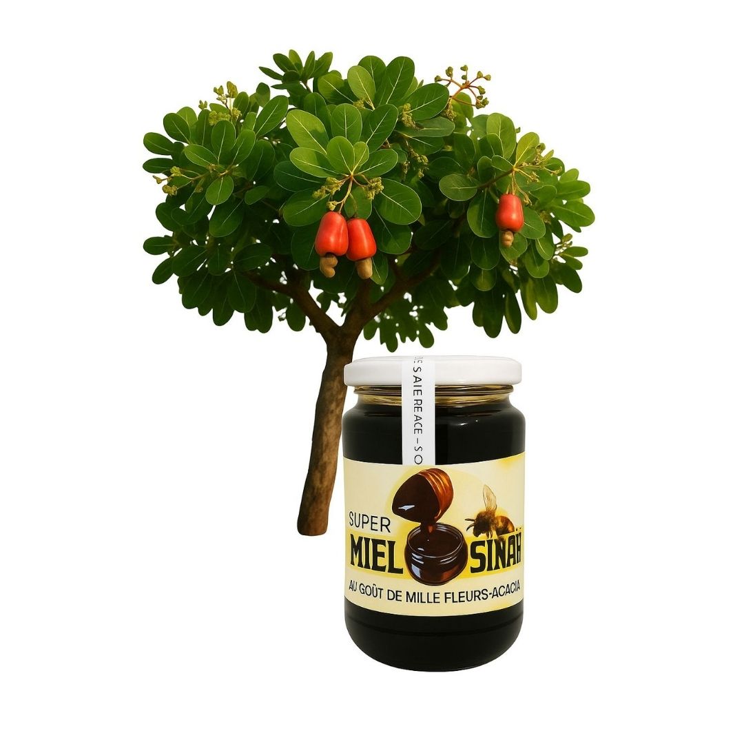 1.Miel aux fleurs d' Acajou (Bénin)
